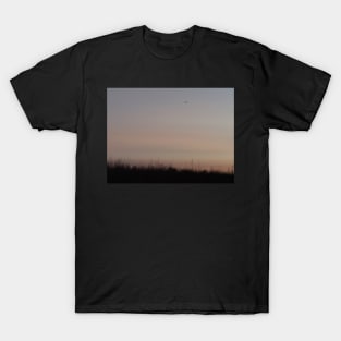 Airplane in the sky at sundown T-Shirt